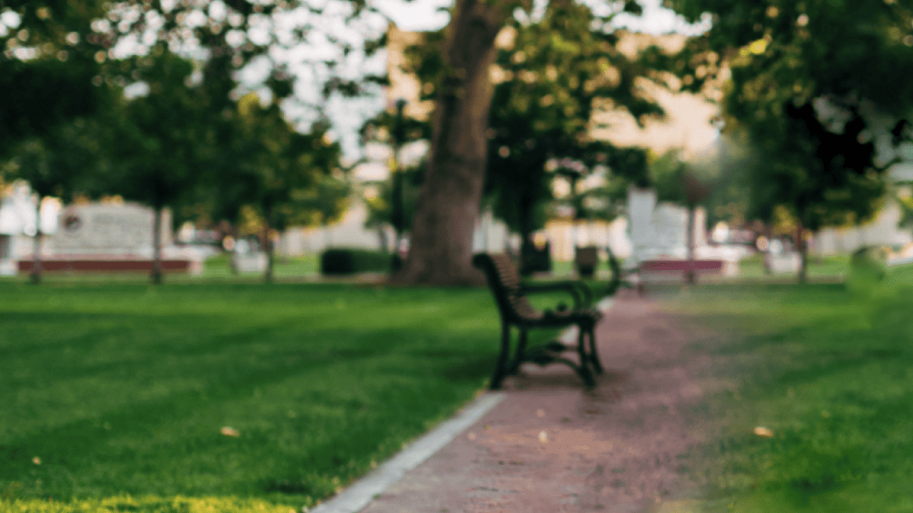 A park with green grass, oak trees, and a bench in golden hour